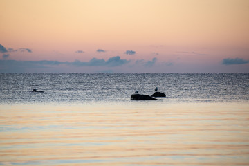 Fototapeta na wymiar colorful sunset or sunrise in the sea