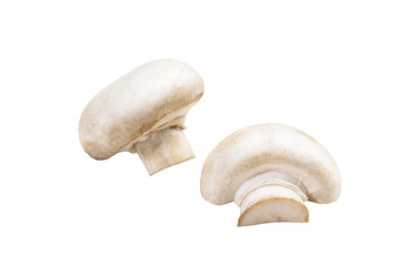 Mushrooms on white background. Isolated on white. Champignons