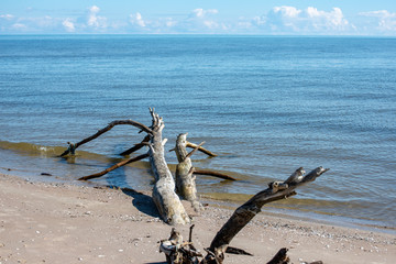 empty sea beach with sand dunes