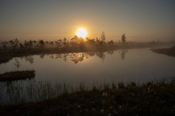 sunrise with mist in swamp bog area