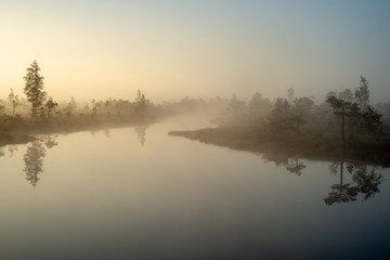 Fototapeta na wymiar sunrise with mist in swamp bog area