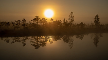 sunrise with mist in swamp bog area