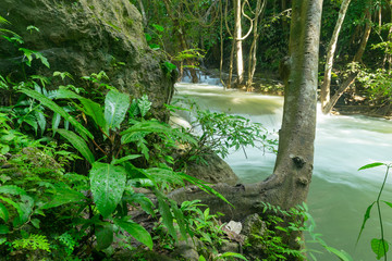 Tropical rainforest and river flowing at Huai Mae Khamin in Kanchanaburi, Thailand