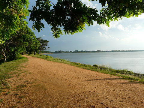 Tissa Wewa