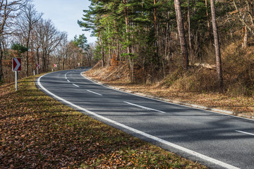 Naklejka premium Langgezogene Rechtskurve am Geschriebenstein / Burgenland (A)