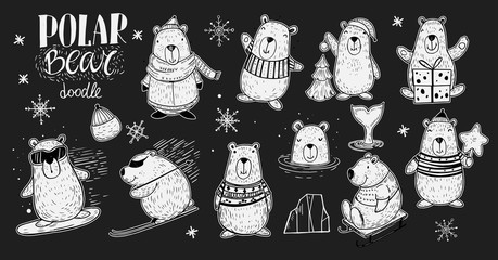 Set of the Polar Bear in winter activity: snowboarding, skiing, sledding. Doodle style. Isolated vector