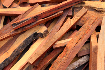 Rare wood Safflower pear