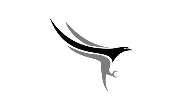 focus flying falcon logo