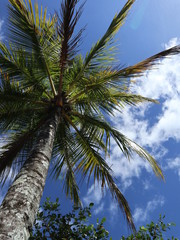 Obraz premium Indonesia, Sumatra island, lake Toba, Samosir island, Tuk-Tuk Peninsula