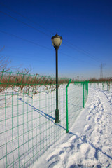 Obraz premium Metal fences and street lamps in the snow