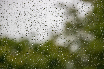 Rain drops on window with green tree in background