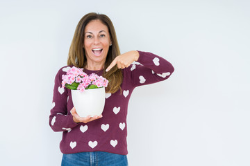 Middle age woman holding flowers pot plant over isolated background very happy pointing with hand and finger