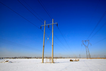 Telegraph poles in the snow