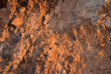 Soil in warm light