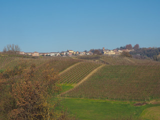 Fototapeta na wymiar View of the city of Monta D'alba