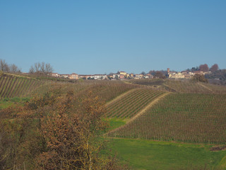 View of the city of Monta D'alba