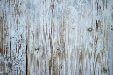 whitish wooden wall