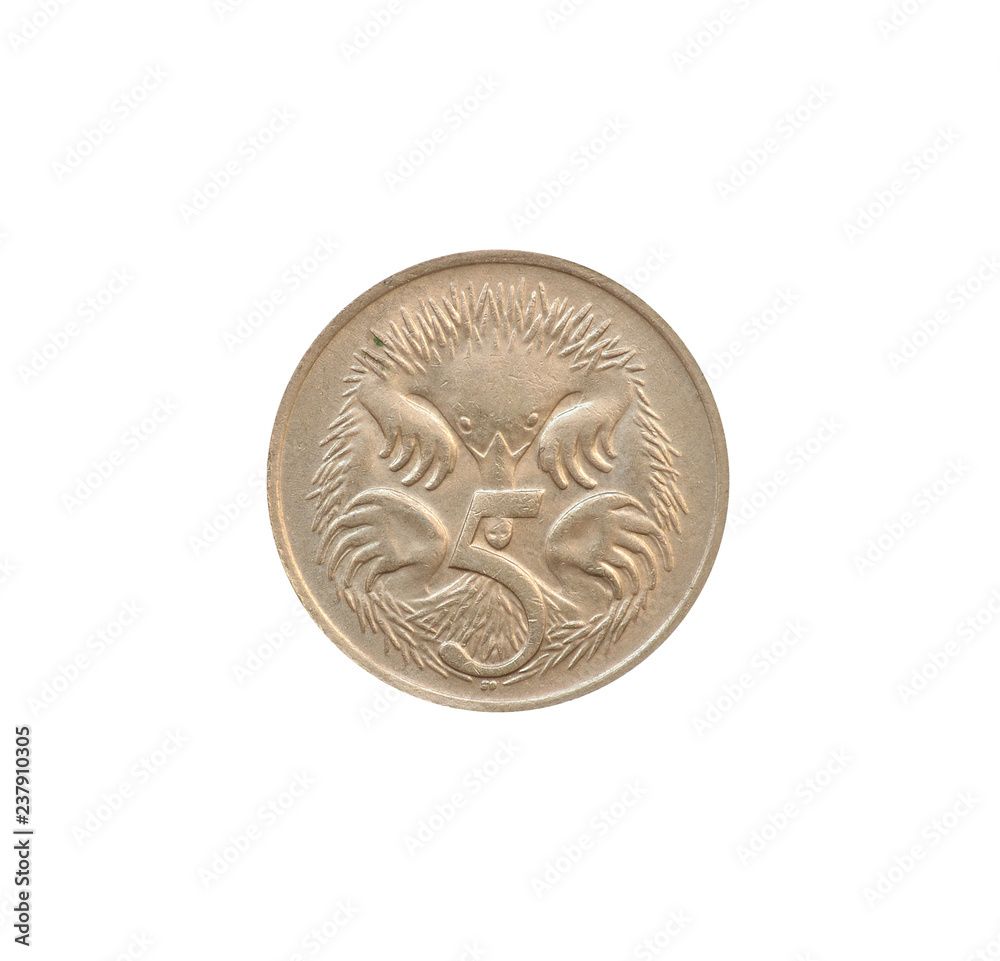 Wall mural reverse of 5 cents coin made by australia, that shows short-beaked echidnas or spiny ant eaters