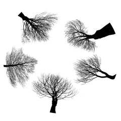 the circle from black trees silhouettes isolated on white