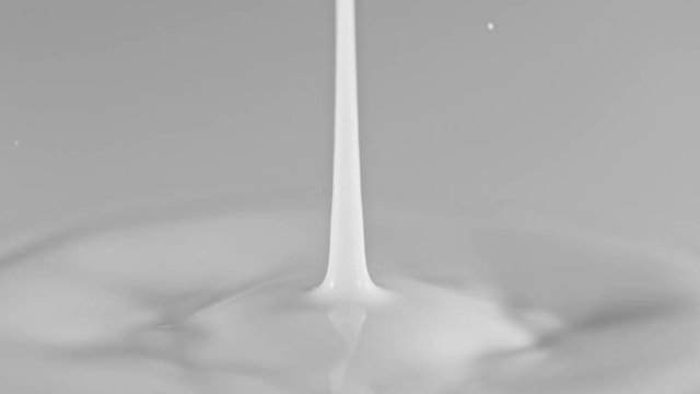 Milk drop in super slow motion, shooted with high speed cinema camera at 1000fps 4K.