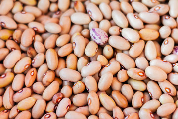 White beans background (Phaseolus) – food for veggies