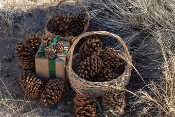 Christmas gift rustic brown paper wrapping pine cone decorations
