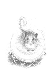 The cat sits on the hatchway. City cat. Graphics background.