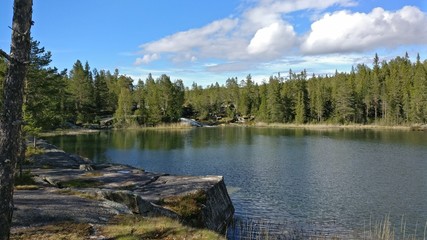 Obraz premium Beautiful nature in northern Sweden.