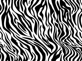 pattern. Tiger zebra texture abstract background. Animal safari skin white black . Vector jungle strip seamless