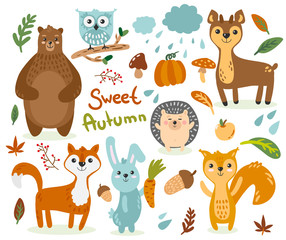 Set of illustrations with animals on the theme of autumn bear fox hedgehog squirrel squirrel deer owl pumpkin mushrooms leaves rain mountain ash different pictures for children