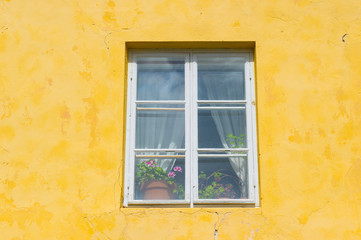 window with flower pots and a yellow facade