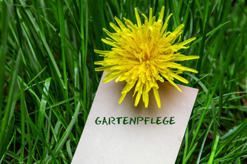 Gartenpflege