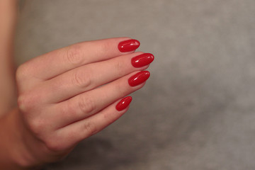hand with manicure red long nails on a gray background