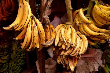 bananen auf dem markt sansibar - obrazy, fototapety, plakaty