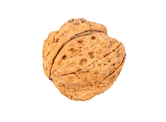 Large walnut isolate