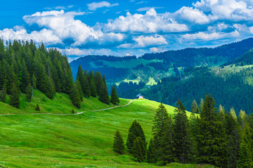 Berghütte Alm unterhalb des Höllritzen Eck in den Allgäuer Alpen Deutschland