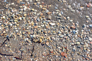 Wet beach pebbles stones sand algae
