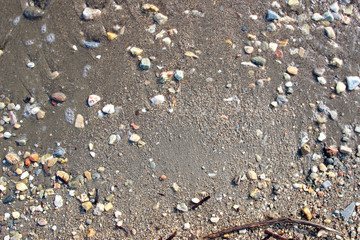 Wet beach pebbles stones sand algae
