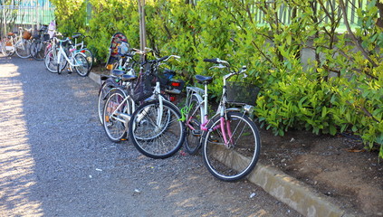 Fototapeta na wymiar Improvised bicycle parking