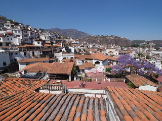 Nice cityscape landscape of historical Taxco city with jacaranda tree in Mexico