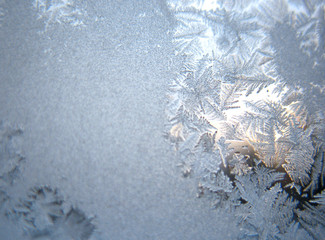 frozen winter window