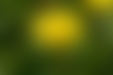 Gradient abstract background flower, nature, plant, fauna with copy space