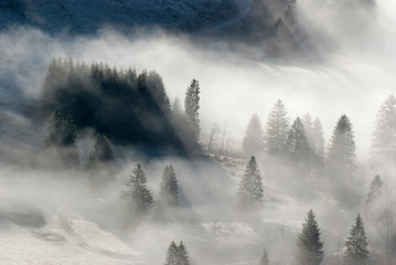 Nebelstimmung im Schwarzwald