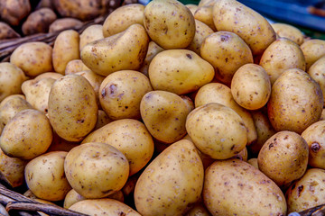 Potatos and Yams in a Farmer's Market