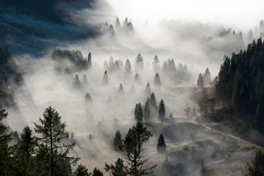 Bergschlucht in Nebel getaucht