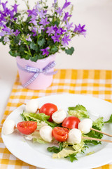 Appetizer on stick with tomato and mozzarella cheese.