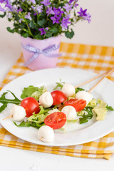 Appetizer on stick with tomato and mozzarella cheese.