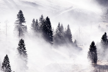 Obraz na płótnie Canvas Landschaft in Nebel getaucht