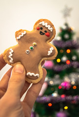 Close-up of a hand holding a homemade christmas cookie with blurred Christmas tree with lights in the background. Home with christmas decoration.