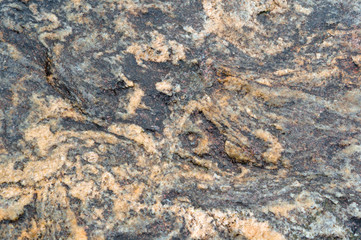 Sea stone texture. Panel texture. Spots gray yellow background. Background fill. Natural stone background.